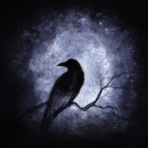 Raven Totem // Tirage d’Art